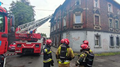 Pożar w Piekarach Śląskich, drzewa na drogach. Śląskie sprząta skutki burzy [ZDJĘCIA]. Fot. KM PSP Piekary Śląskie