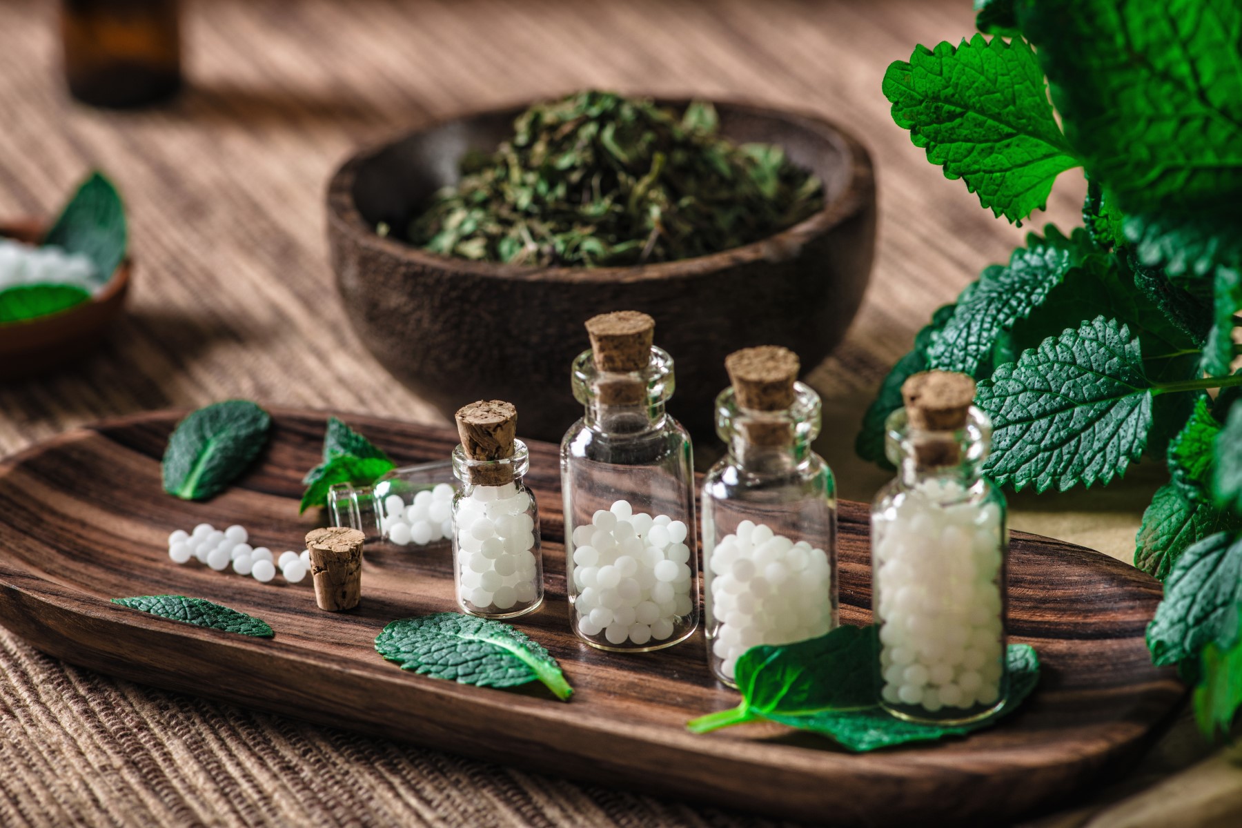 Homeopatia  co należy o niej wiedzieć? (fot. materiał partnera)  TVS.pl