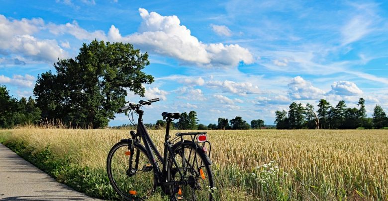 Jest w czym wybierać. Najciekawsze szlaki rowerowe w Polsce (fot.pogądowe/www.pixabay.com)