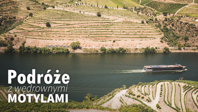 Podróże z Wędrownymi Motylami - Porto i dolina Douro (sob. 10:00, nd. 10:20)