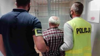 Zaatakował swoją żonę grabiami. 73-latek został aresztowany (fot.Policja Łódzka)