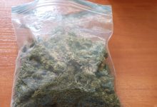 Czeladź: miał w mieszkaniu marihuanę, grozi mu 10 lat więzienia. Fot. Policja Śląska