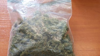 Czeladź: miał w mieszkaniu marihuanę, grozi mu 10 lat więzienia. Fot. Policja Śląska