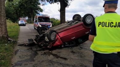 Zobaczył pająka na szybie. Jego podróż zakończyła się dachowaniem (fot.Policja Pomorska)