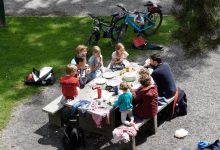 Piknik Rodzinny Na Zakończenie Wakacji w Gliwicach. Jakie atrakcje? (fot.UM Gliwice)