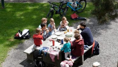 Piknik Rodzinny Na Zakończenie Wakacji w Gliwicach. Jakie atrakcje? (fot.UM Gliwice)