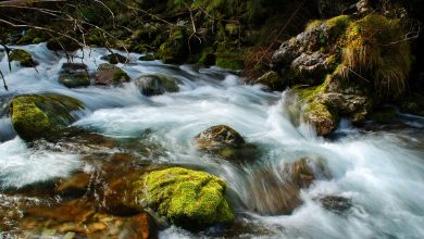 Nie wychodźcie w góry. Trudne warunki w Tatrach(fot.poglądowe/www.pixabay.com)