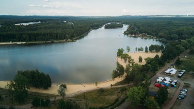 Na jaworznickiej Sosinie powstanie zorganizowane kąpielisko. Fot. UM w Jaworznie