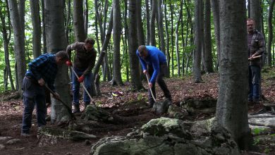 Co kryje Bukowa Góra? Archeolodzy ze Sztygarki na tropie sensacyjnego odkrycia w naszym regionie!