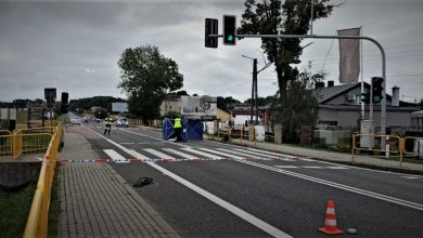 Tragiczny wypadek na DK44 w Mikołowie. Policja szuka świadków (fot.Śląska Policja)