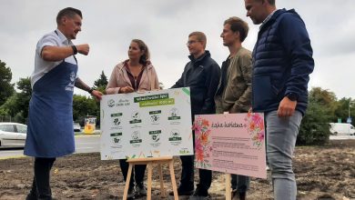 Antysmogowa łąka na Rynku Wieluńskim w Częstochowie. Jej sponsorem jest Almette (fot.UM Częstochowa)