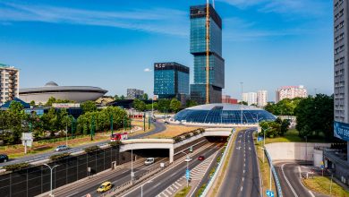 Mocną stroną Katowic są kadry z obszaru kompetencji analitycznych i sprzedażowych, a także specjaliści i menedżerowie w obszarze IT. [fot. UM Katowice / R. Klimkiewicz]