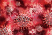 1344 nowe przypadki koronawirusa. Coraz więcej na Śląsku [KORONAWIRUS 2.10.2021] Fot. poglądowe pixabay.com