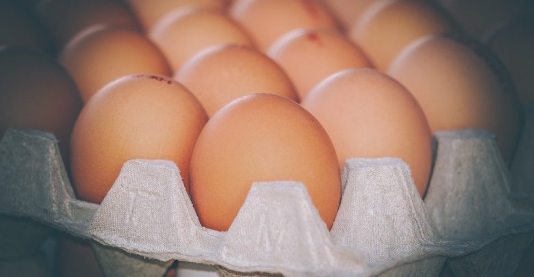 Salmonella w jajkach z Biedronki! fot.poglądowe/www.pixabay.com)
