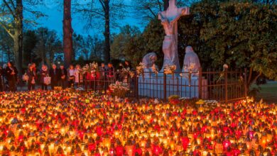 Cmentarze i ekologia. O co apelują Unia Metropolii Polskich wraz z Polską Radą Ekumeniczną oraz Inicjatywą (Nie)zapomniane cmentarze?