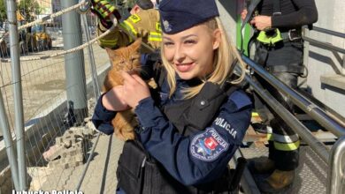 Policja i straż razem w akcji. Uratowali słodkiego, rudego kotka, który wpadł tam, gdzie nie trzeba (fot.Lubuska Policja)