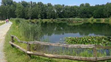 Siemianowice: kolejne spacery z urzędnikami. Można zgłosić swoje uwagi. Fot. UM Siemianowice Śląskie