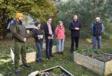 Miejskie ogrodnictwo jest formą promocji gospodarki obiegu zamkniętego, łapania i wykorzystywania deszczówki, kompostowania czy korzystania z jadalnych upraw. Ogrodnicy nawzajem uczą się od siebie, wymieniają narzędziami i sadzonkami.  [fot. UM Katowice]