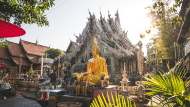 Podróże z Wędrownymi Motylami - Tajlandia Północna i Chiang Mai (sob. 10:00, nd. 10:20)