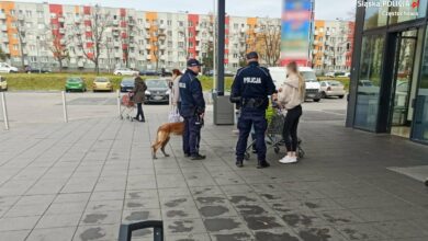 Częstochowa: mnóstwo mandatów za brak maseczek. Fot. KMP częstochowa