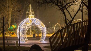 Sosnowiec zaczyna święta. Zamontuje choinkę z 26 tysiącami lampek LED. Fot. UM Sosnowiec