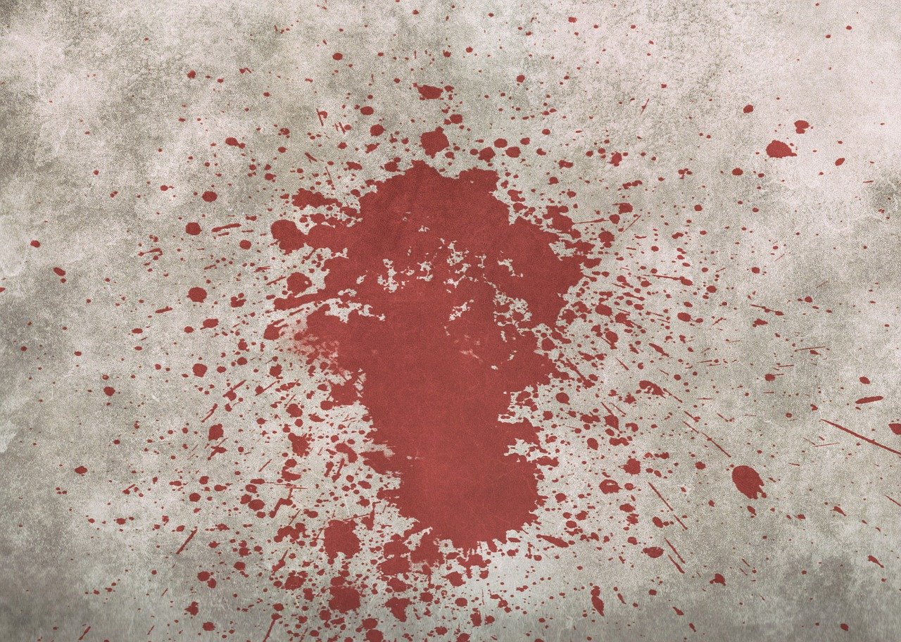 Śląskie: Podciął swoim rodzicom gardła. Ci wykrwawili się na śmierć/fot.poglądowe/pixabay.com