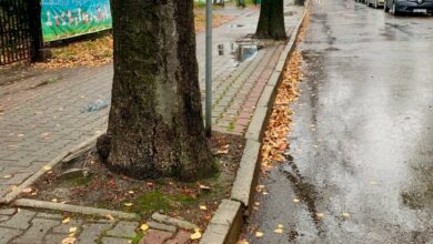 O tym, na jaki zakres prac ostatecznie wystarczy w tym roku pieniędzy przekonamy się już niebawem, bo gmina właśnie przystępuje do ogłoszenia przetargu mającego wyłonić ich wykonawcę. [fot. UM Czechowice-Dziedzice]