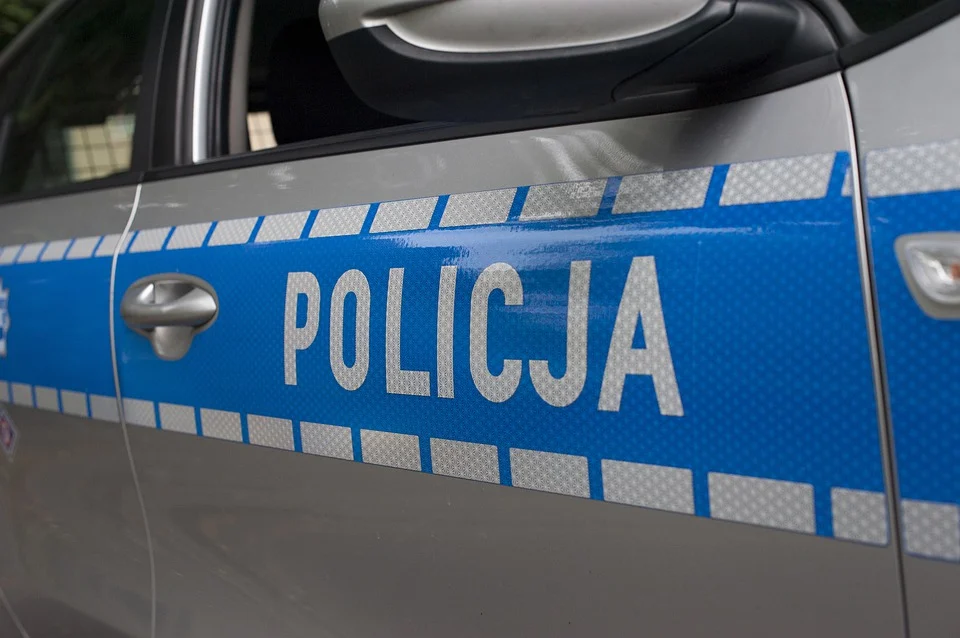Wykorzystanie seksualne nastolatki. Zatrzymanie w Pyskowicach/fot.pixabay.com