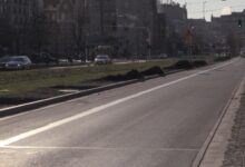 Katowice: Najpierw zwęzili Korfantego, teraz ruszyło sadzenie drzew