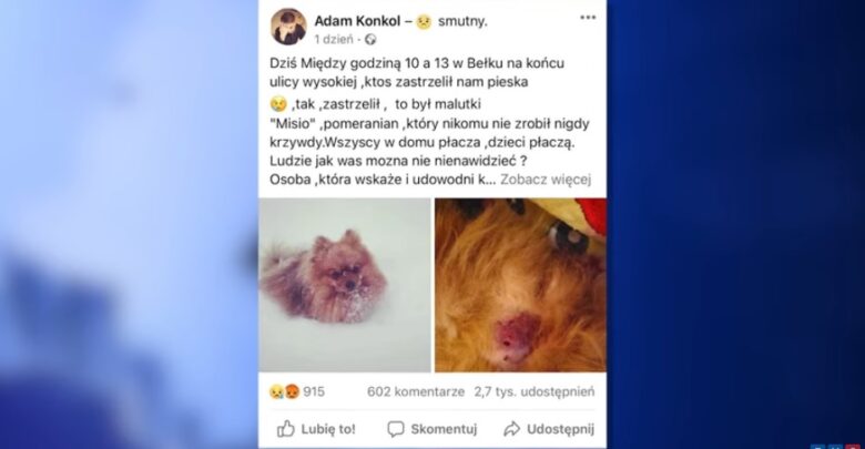 Adam Konkol, założyciel zespołu ŁZY wyznaczył 10 tysięcy nagrody za zabójcę jego psa!