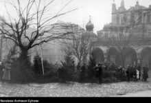 Sprzedaż drzewek choinkowych w grudniu 1940 r. w Krakowie. [fot. Narodowe Archiwum Cyfrowe]