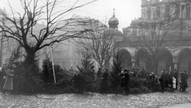 Sprzedaż drzewek choinkowych w grudniu 1940 r. w Krakowie. [fot. Narodowe Archiwum Cyfrowe]