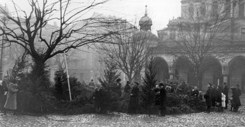 Sprzedaż drzewek choinkowych w grudniu 1940 r. w Krakowie. [fot. Narodowe Archiwum Cyfrowe]