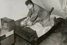 Bogdan Arnold Władca Much. Zdjęcie z wizji lokalnej