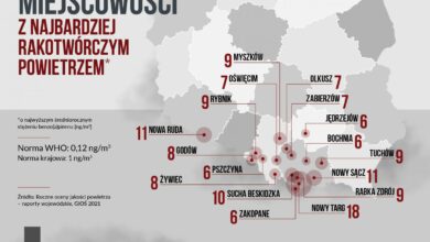 Śląskie: Rybnik, Myszków, Godów, Żywiec. Miejscowości z najbardziej rakotwórczym powietrzem (fot.Polski Alarm Smogowy)