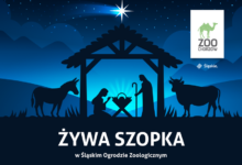 Żywa Szopka w Śląskim ZOO. Można ją odwiedzić do 9 stycznia (fot.Śląskie ZOO)