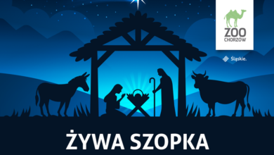 Żywa Szopka w Śląskim ZOO. Można ją odwiedzić do 9 stycznia (fot.Śląskie ZOO)