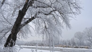 IMGW wydał ALERTY pogodowe! U nas silny mróz, na północy śnieżyce (fot. pixabay.com)