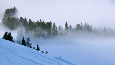 Jak święta, to w górach. Jak wygląda tegoroczne świętowanie w Wiśle? [WIDEO] (fot.pixabay.com)