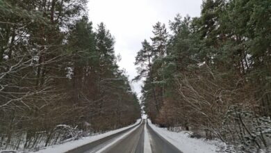 Jura Krakowsko-Częstochowska zimą