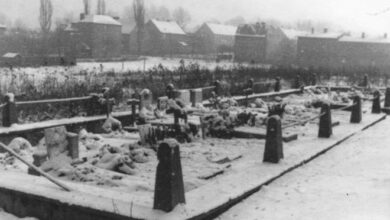 Masowy grób ofiar w Miechowicach na starej fotografii.