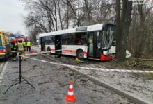 Wypadek autobusu w Jastrzębiu Zdroju. Wiemy, dlaczego kierowca uderzył w drzewo (fot.Śląska Policja)