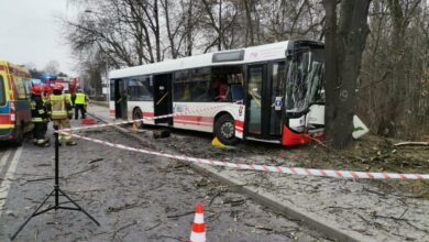 Wypadek autobusu w Jastrzębiu Zdroju. Wiemy, dlaczego kierowca uderzył w drzewo (fot.Śląska Policja)