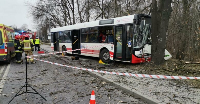 Wypadek autobusu w Jastrzębiu Zdroju. Wiemy, dlaczego kierowca uderzył w drzewo (fot.Śląska Policja)