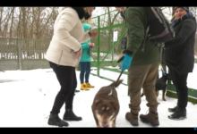 W niedzielę, mimo niskiej temperatury, już o godzinie 10 przed schroniskiem stała spora kolejka mieszkańców.