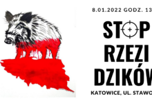 Katowice: „Stop rzezi dzików”. Dziś demonstracja na Stawowej (fot.mat.prasowe)