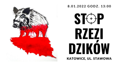 Katowice: „Stop rzezi dzików”. Dziś demonstracja na Stawowej (fot.mat.prasowe)