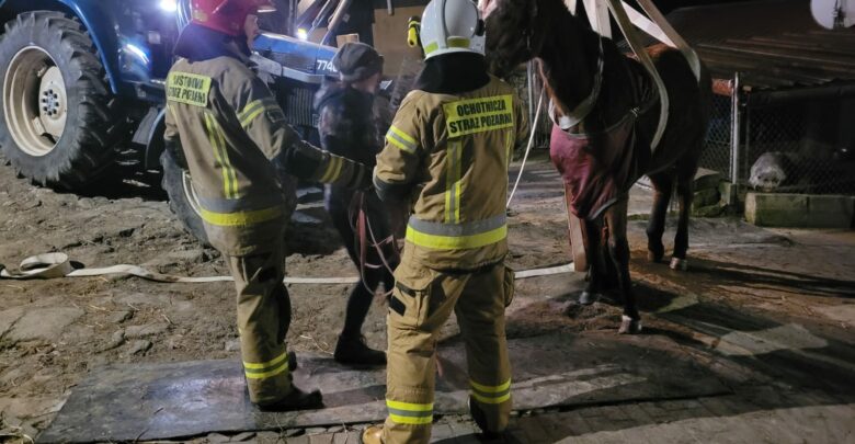Ciężko podnieść 500 kg. Strażacy z Bielska-Białej sobie poradzili (fot.UM Bielsko-Biała)