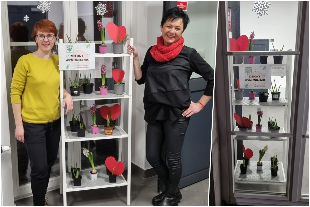 Wymienialniki roślin podbijają Czeladź. To była odpowiedź na epidemię. Fot. Czeladzkie Eko