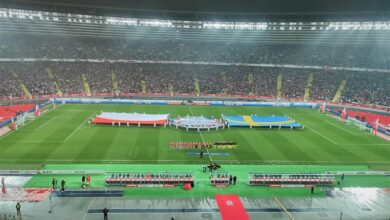 Policja podsumowała mecz Polska-Szwecja na Stadionie Śląskim (fot.Śląska Policja)